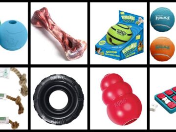where to buy dog toys